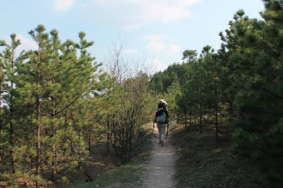 Magyar Camino Út.